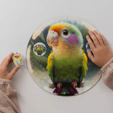 Bubblezz Parrot